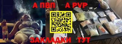 хмурый Кингисепп