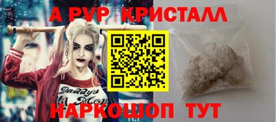 хмурый Кингисепп