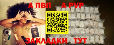 хмурый Кингисепп
