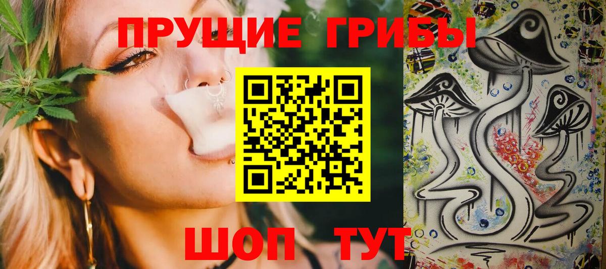 Псилоцибиновые грибы мицелий  Вход с VPN  как найти наркотики  Котельники  Галлюциногенные грибы Psilocybe 